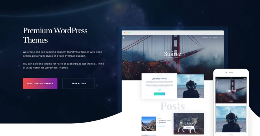 Premium WordPress website Theme