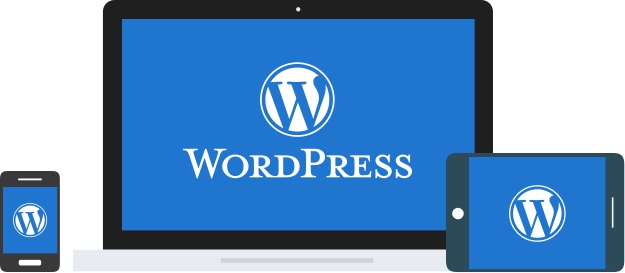 Wordpress CMS