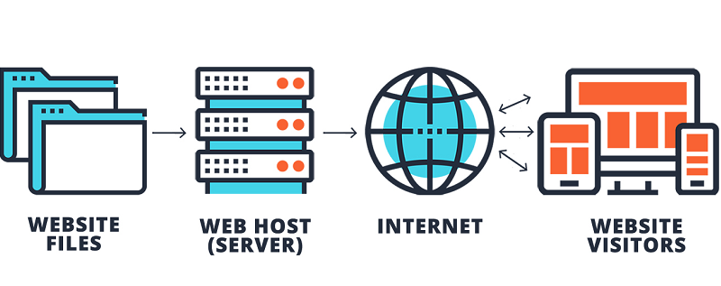 web hosting facts