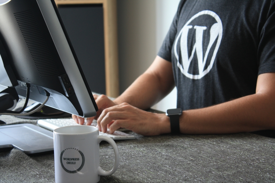 wordpress more than blogging