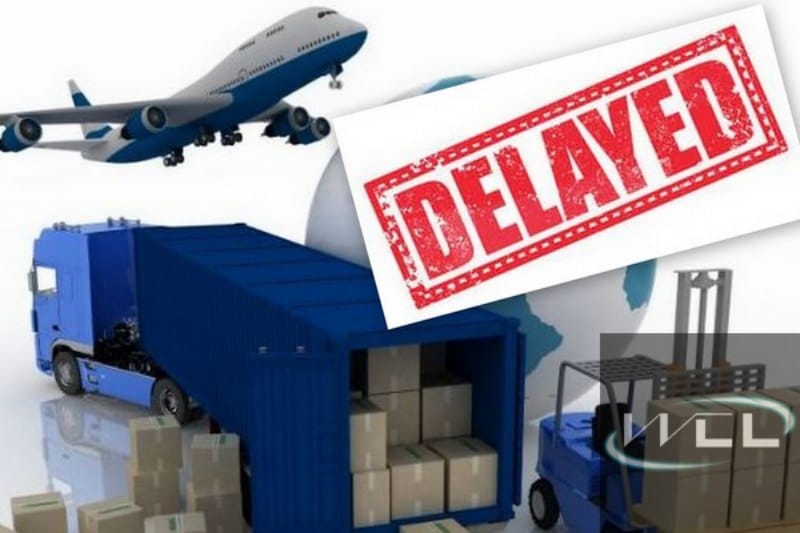 Logistic delayed